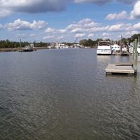 Susan Byrd Photo 36