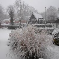 Shirley Healy Photo 9