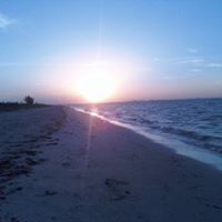 Diane Jenkins Photo 19