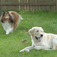 Becky Tuttle Photo 29