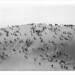 Herbert Cross Photo 10