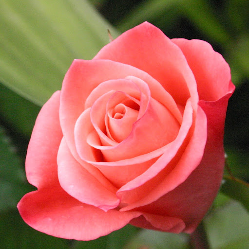 Debra Eberhart Photo 2
