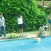 Amy Barbour Photo 16