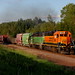 Kelly Hallett Photo 17
