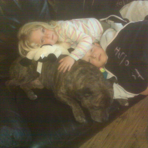 Lisa Bradley Photo 42