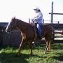 Trena Johnson Photo 33