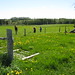 Shirley Cross Photo 23