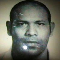 Stephen Louis Photo 30