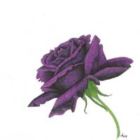 April Childers Photo 8