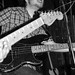 Patrick Sanders Photo 12