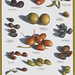 John Olive Photo 12