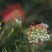 Robyn Gordon Photo 37