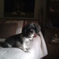 Linda Holley Photo 35