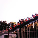 Linda Stengel Photo 9