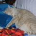 Norman King Photo 24
