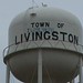 Jill Livingston Photo 15