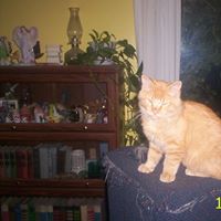 Suzanne Perrin Photo 14