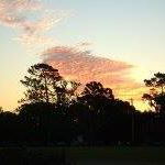 Debbie Sutherland Photo 25