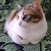 Minnie Mims Photo 6