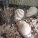 Stephen Rutherford Photo 36
