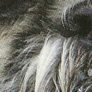 Barbara Whiteman Photo 18