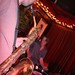 Larry Colley Photo 20