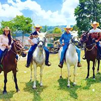 Denisse Pineda Photo 8