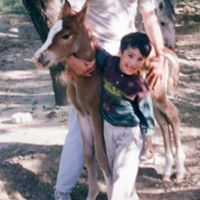 Omid Zamani Photo 22