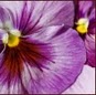 Christine Redfern Photo 6