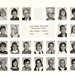 Steve Wortman Photo 8