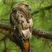 Jason Bough Photo 9