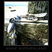 Leah Sutherland Photo 10