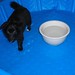 Kelly Pool Photo 38
