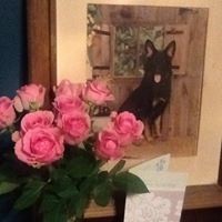 Colleen Mulholland Photo 20