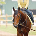 Dana Barnes Photo 47