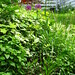 Nancy Lindley Photo 20