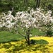 Jenny Cronin Photo 12