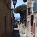 Maria Matarazzo Photo 14