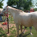 Lisa Christianson Photo 15