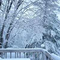 Jennifer Mcmillen Photo 21