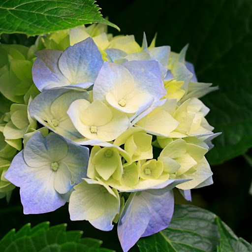 Karen Vasquez Photo 34