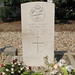 Dennis Fredericks Photo 15