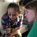Lindsay Zhang Photo 11