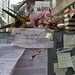 Linda Sheppard Photo 9