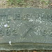 Helen Higgins Photo 36