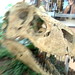 Rex Stevens Photo 13