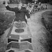 Ron Walker Photo 12