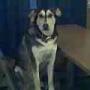 Cindy Rankin Photo 18