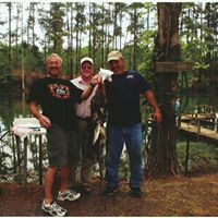 Roy Mclaughlin Photo 17