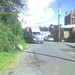 Vernon Lyons Photo 13